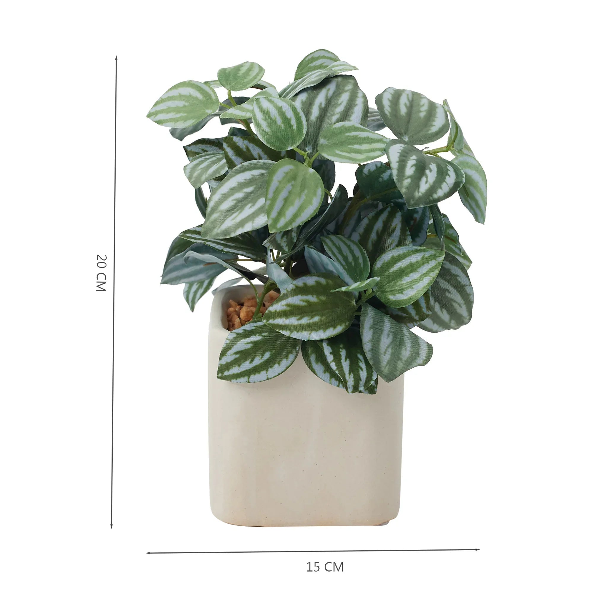 Ilana Faux Peperomia Ceramic Potted Plant 20 Cm in Green Colour - HomeTown