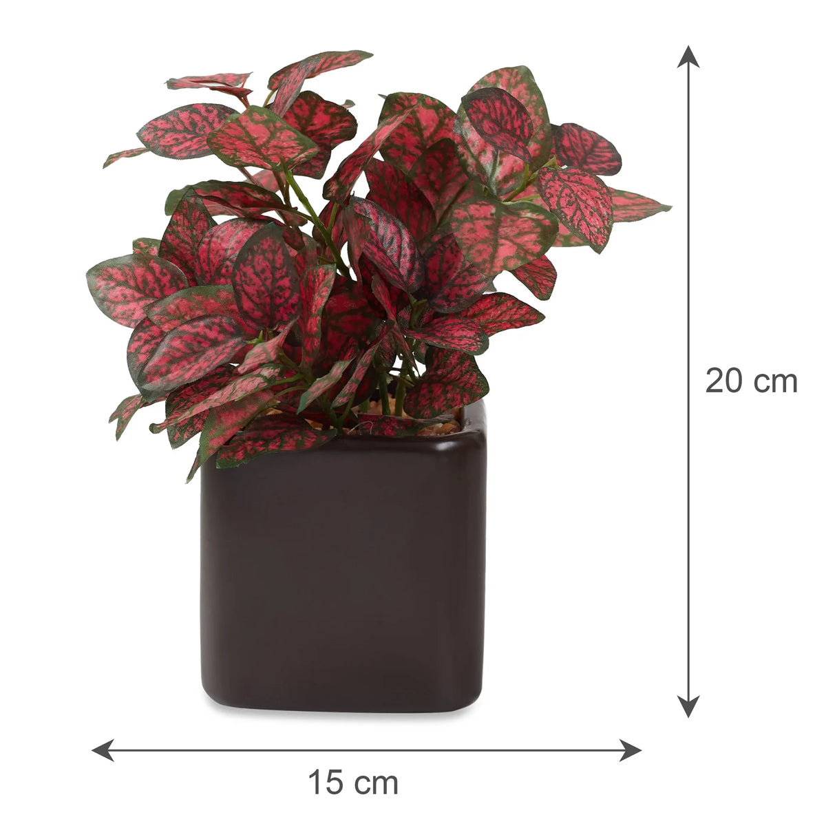 Ilana Faux Hypoestes Ceramic Potted Plant 20 Cm in Red Colour - HomeTown