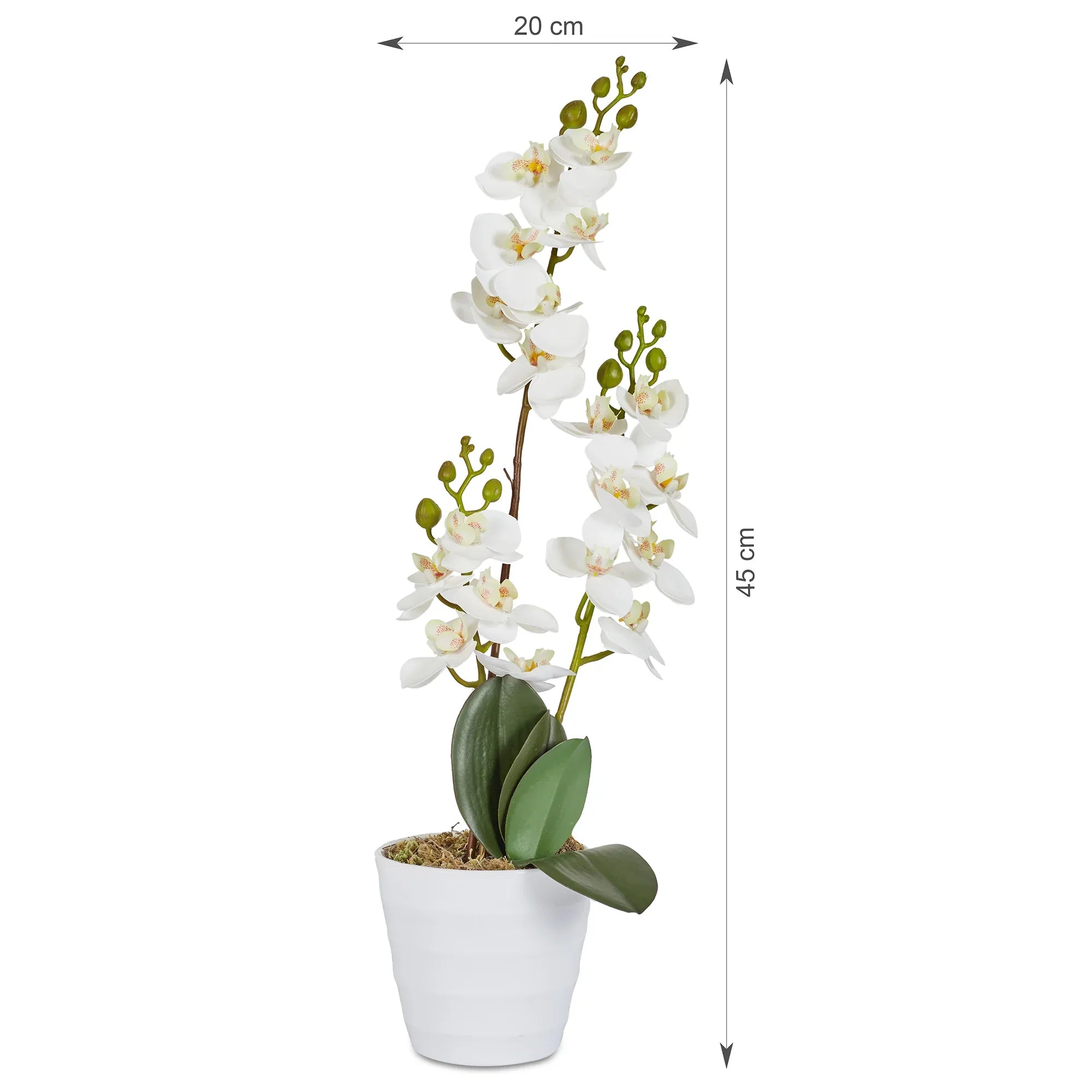 Ilana Artificial Orchid Potted Plant 45Cm in White Colour - HomeTown