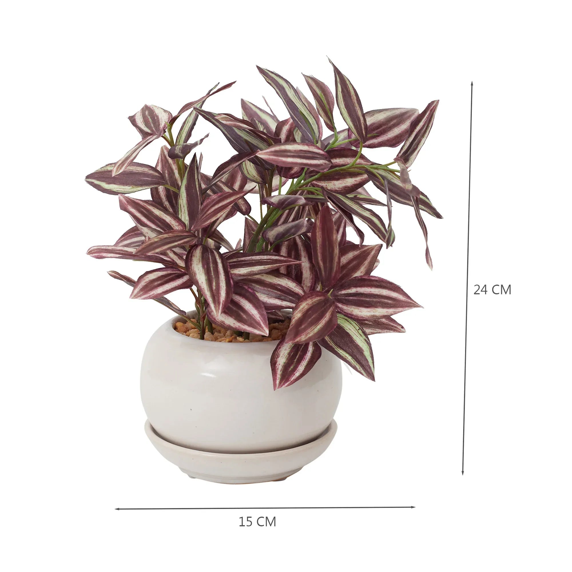 Ilana Faux Wandering Jew Ceramic Potted Plant 24 Cm in Green Colour - HomeTown