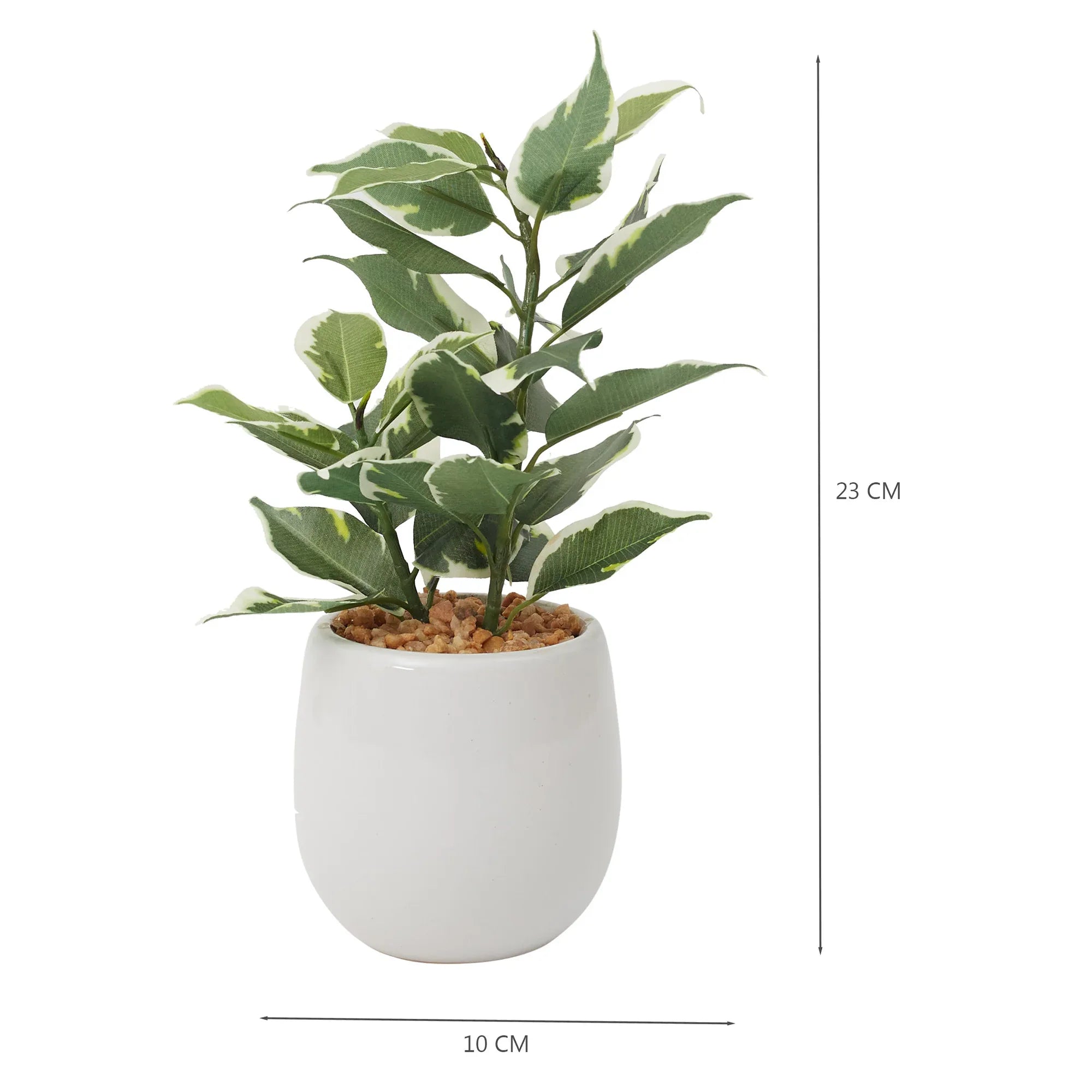 Ilana Faux Quercus Ceramic Potted Plant 23 Cm in Green Colour - HomeTown