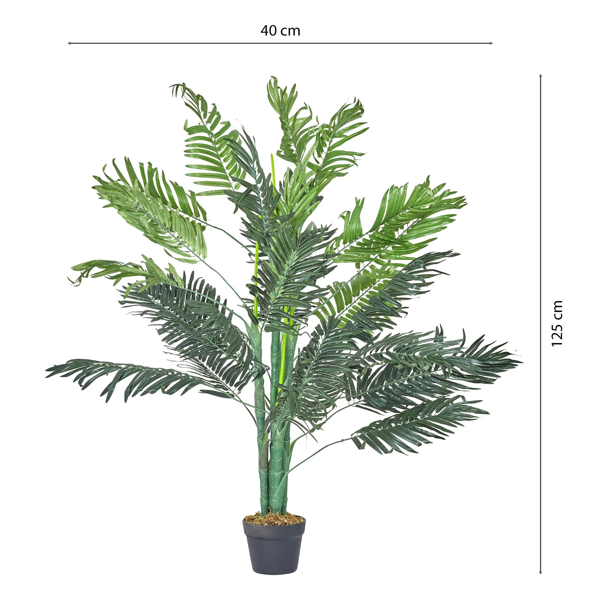 Ilana Artificial Palm Potted Tree 125Cm in Green Colour - HomeTown