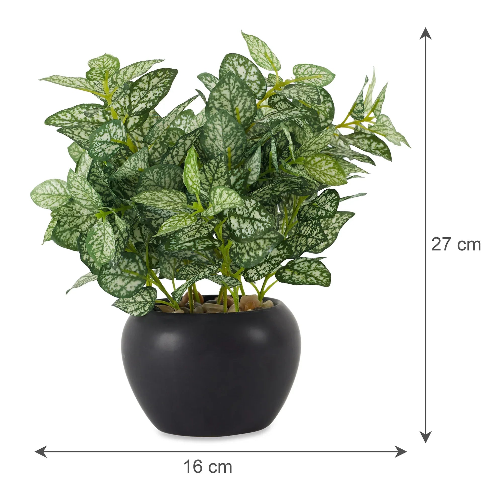 Ilana  Faux Hypoestes Ceramic Potted Plant 27 Cm in Green Colour