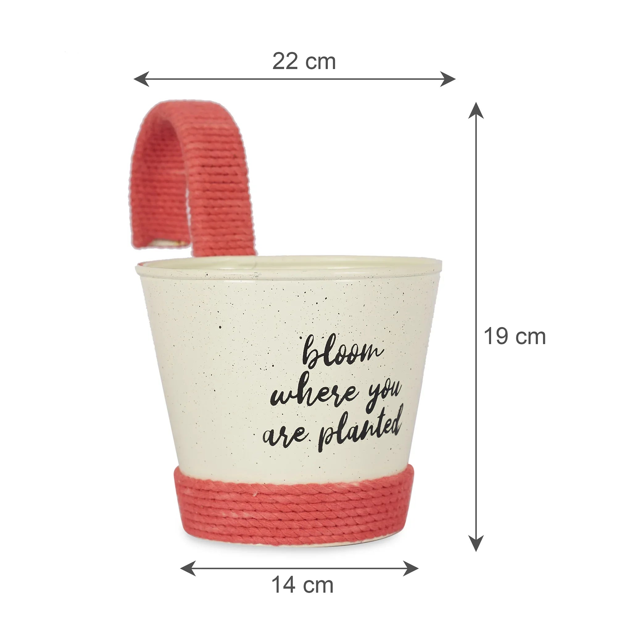 Pep Pop Metal Funky Quote Railing Planter 19Cm in Off White & Fuchsia Colour - HomeTown