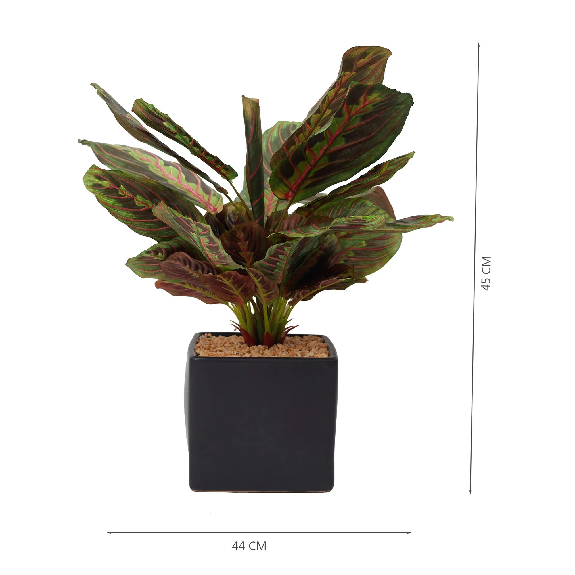 Ilana Faux Maranta Ceramic Potted Plant 45 Cm in Green Colour - HomeTown