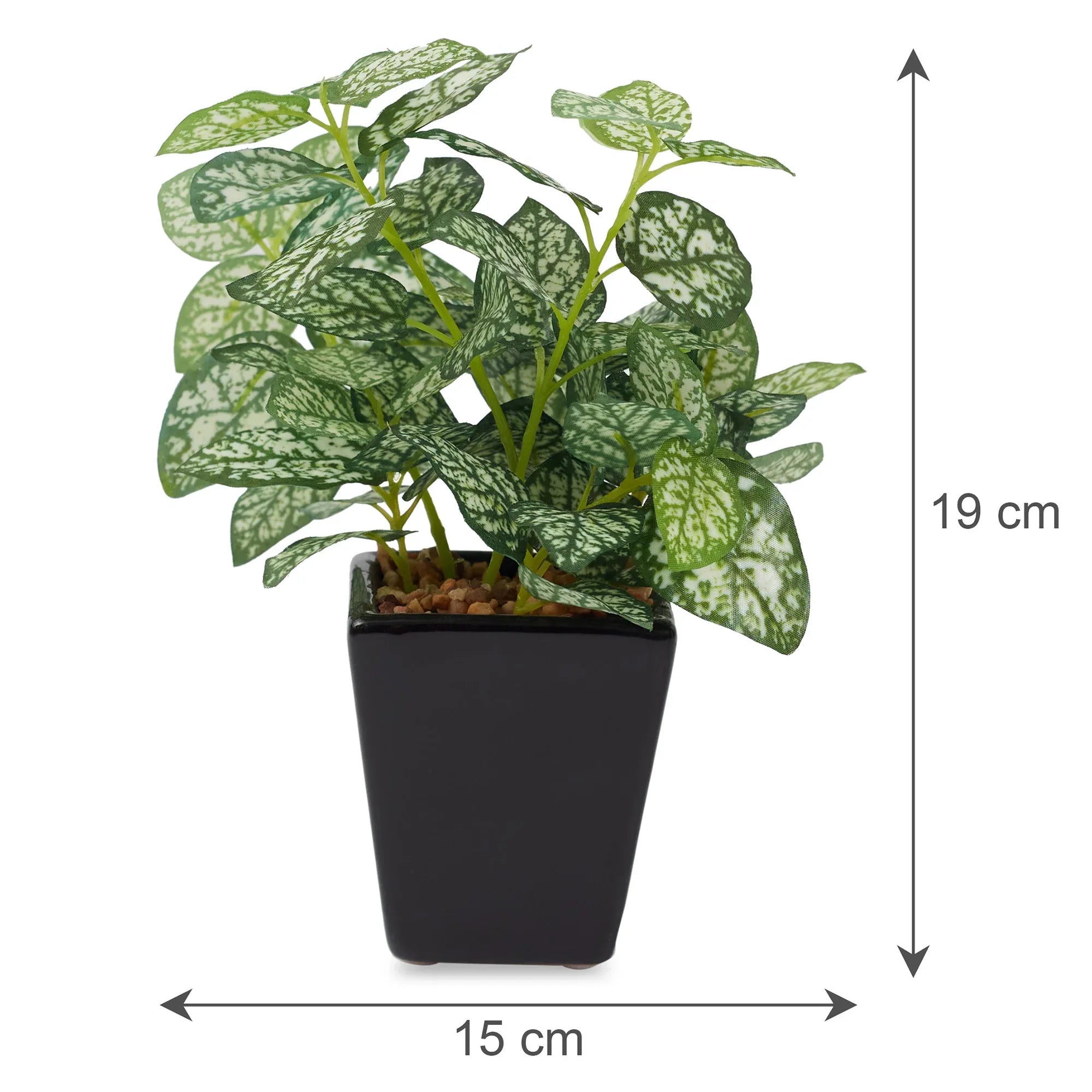 Ilana Faux Hypoestes Ceramic Potted Plant 19 Cm in Green Colour - HomeTown