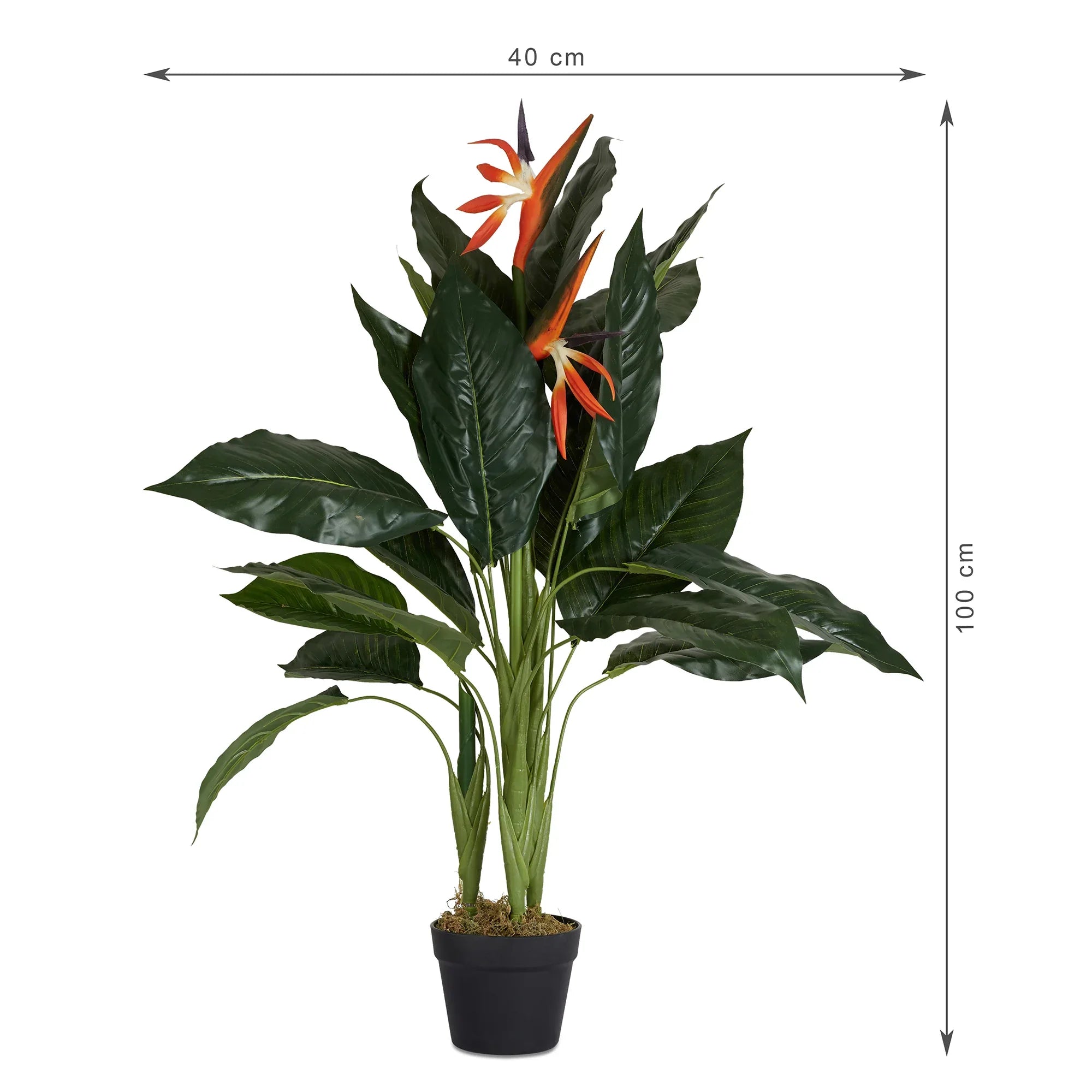 Ilana Artificial Paradise Bird Potted Plant 100Cm in Green Colour - HomeTown