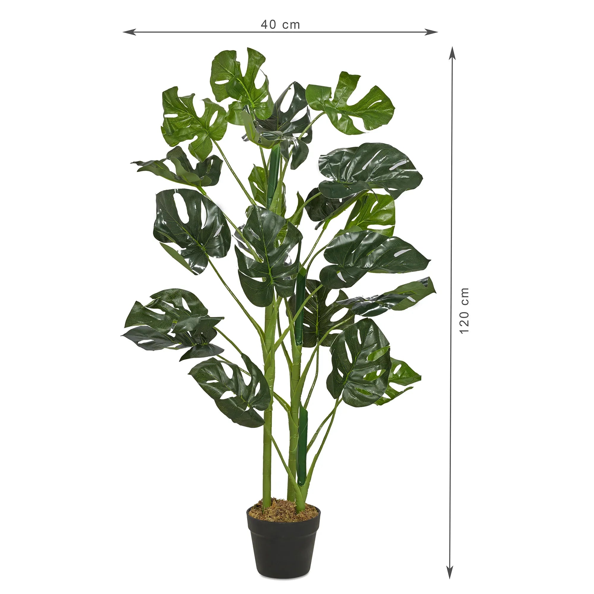 Ilana Artificial Monstera Potted Plant 120Cm in Green Colour - HomeTown