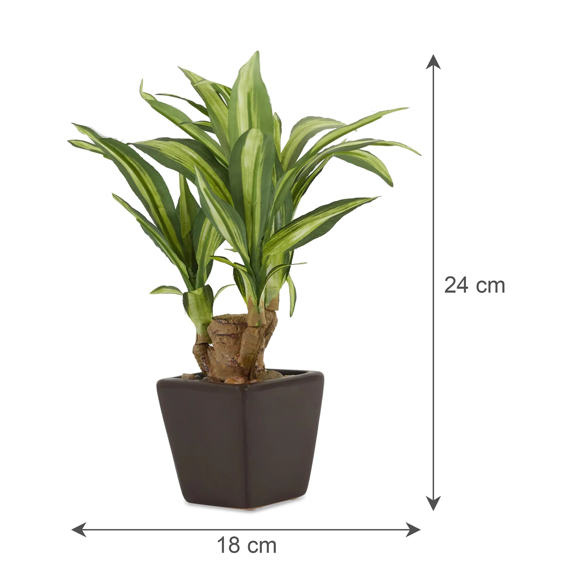Ilana Faux Mini Dracaena 1 Ceramic Potted Plant 24 Cm in Green Colour - HomeTown