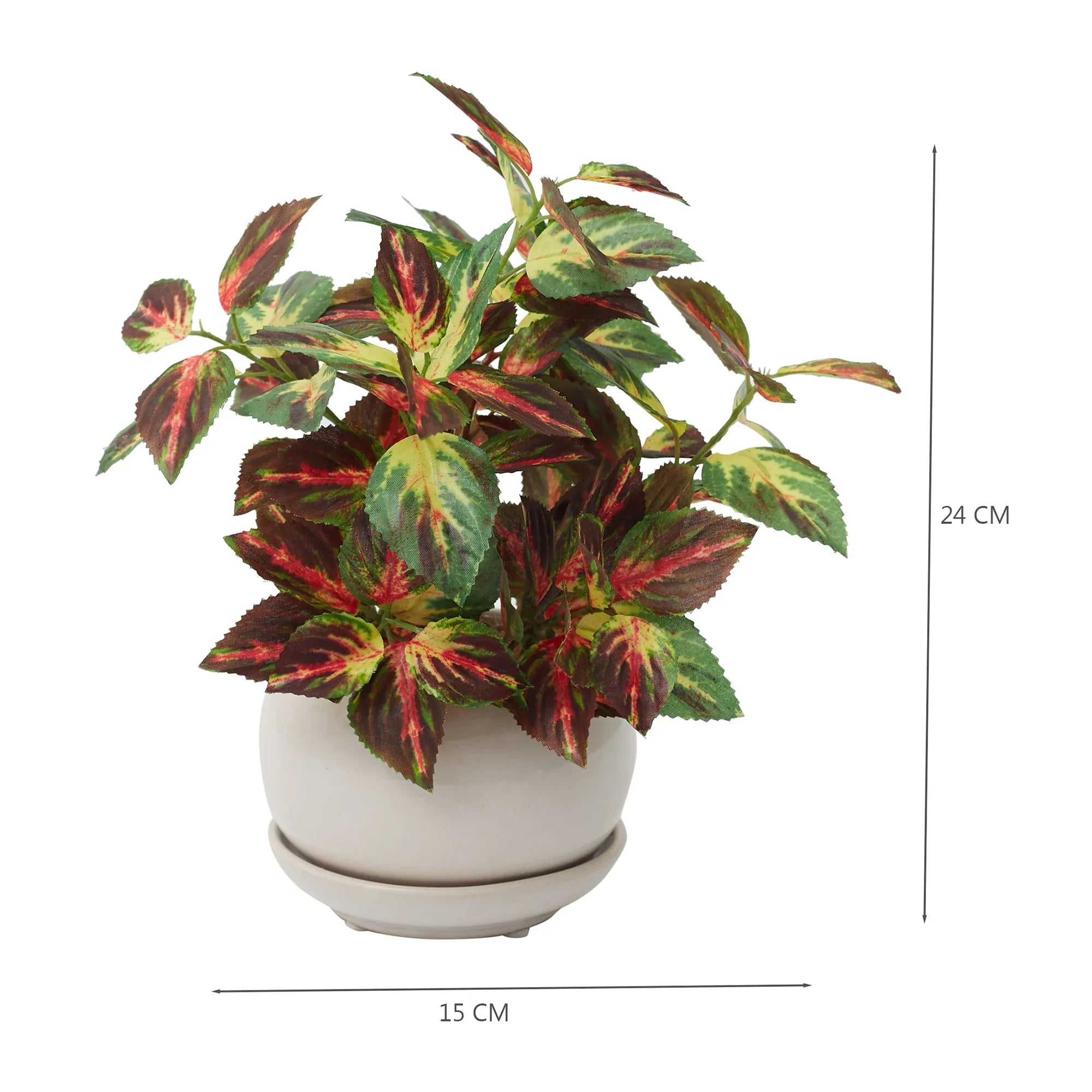 Ilana Faux Coleus Ceramic Potted Plant 24 Cm in Green Colour - HomeTown