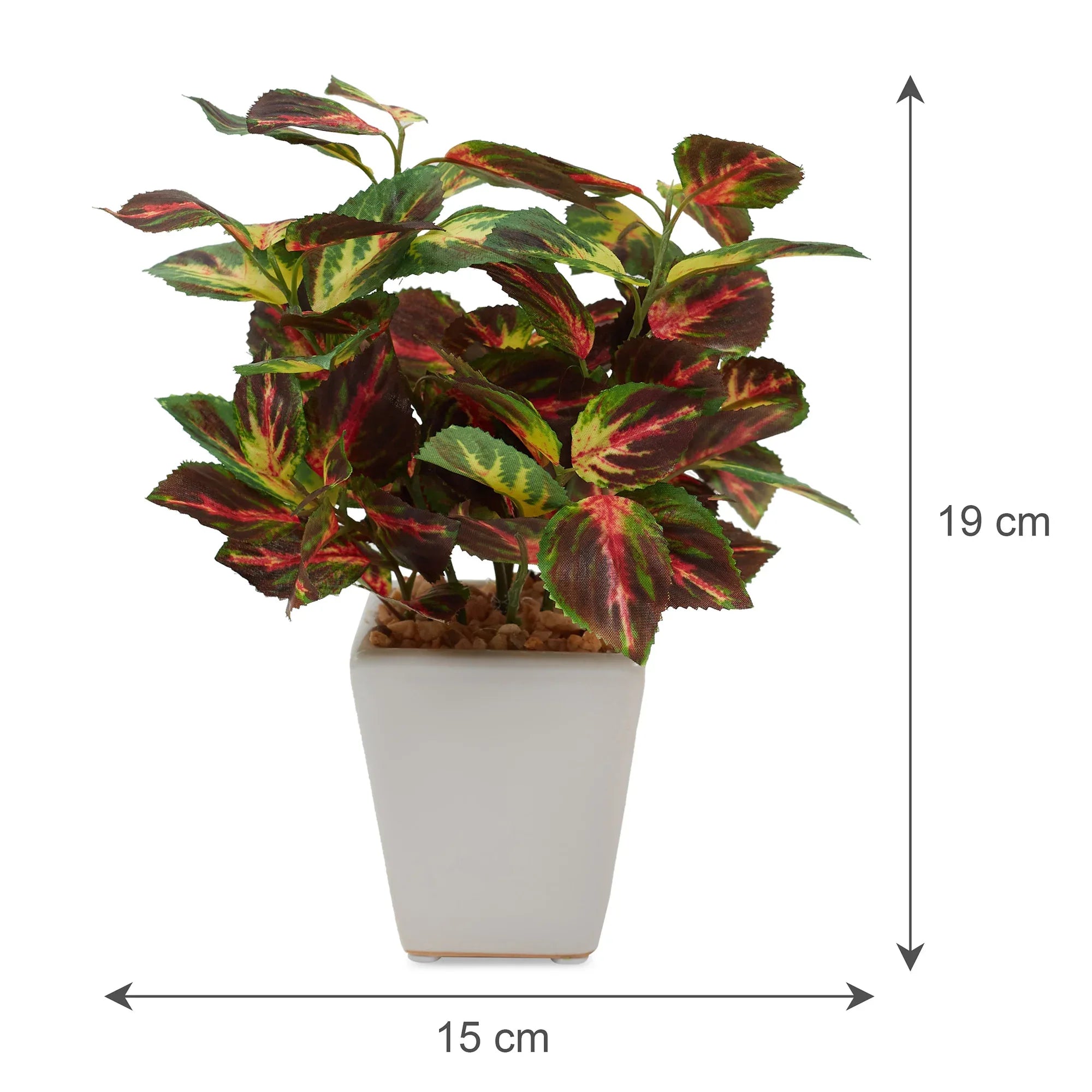 Ilana Faux Coleus Ceramic Potted Plant 19 Cm in Green Colour - HomeTown