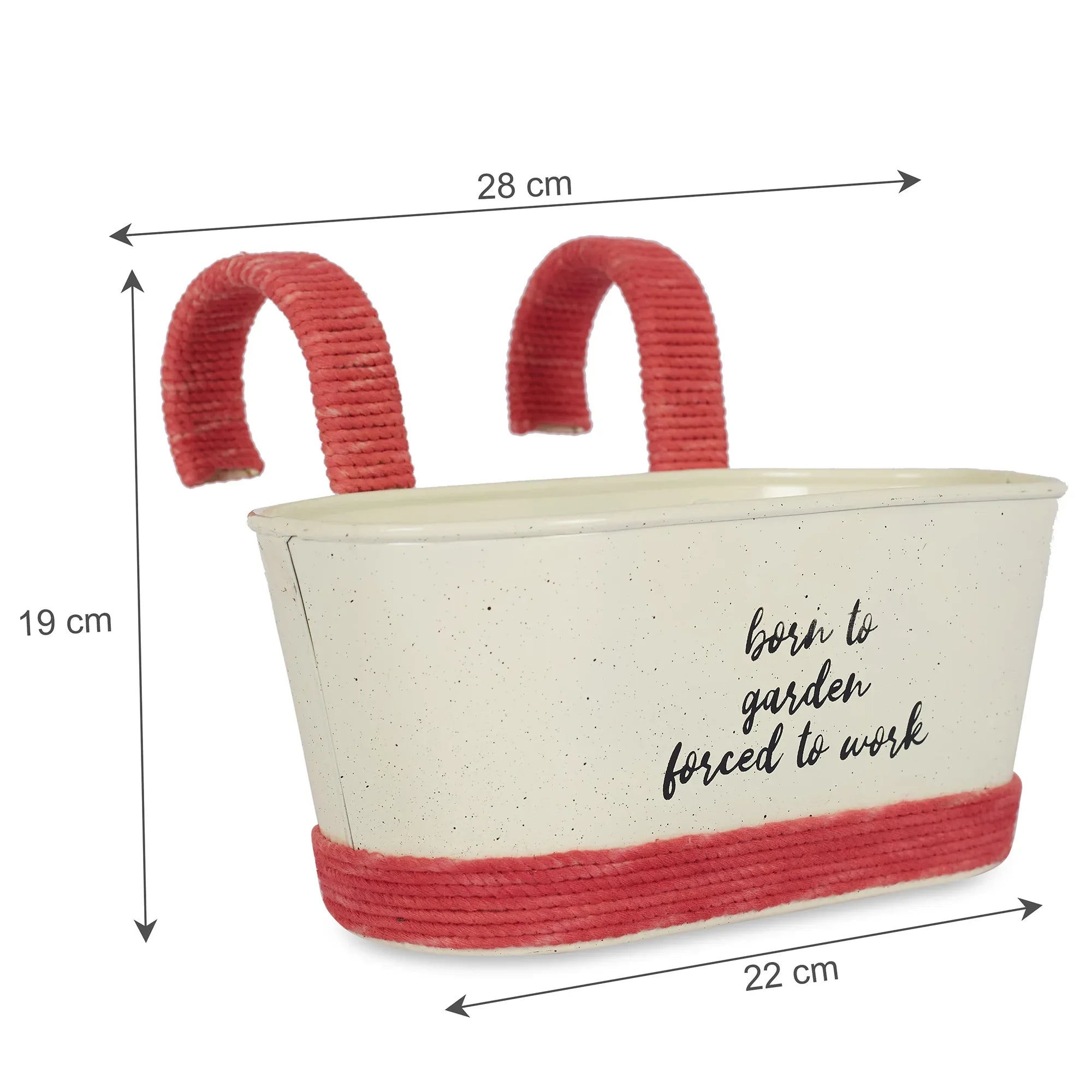 Pep Pop Metal Funky Quote Railing Planter 28X19Cm in Off White & Fuchsia Colour - HomeTown