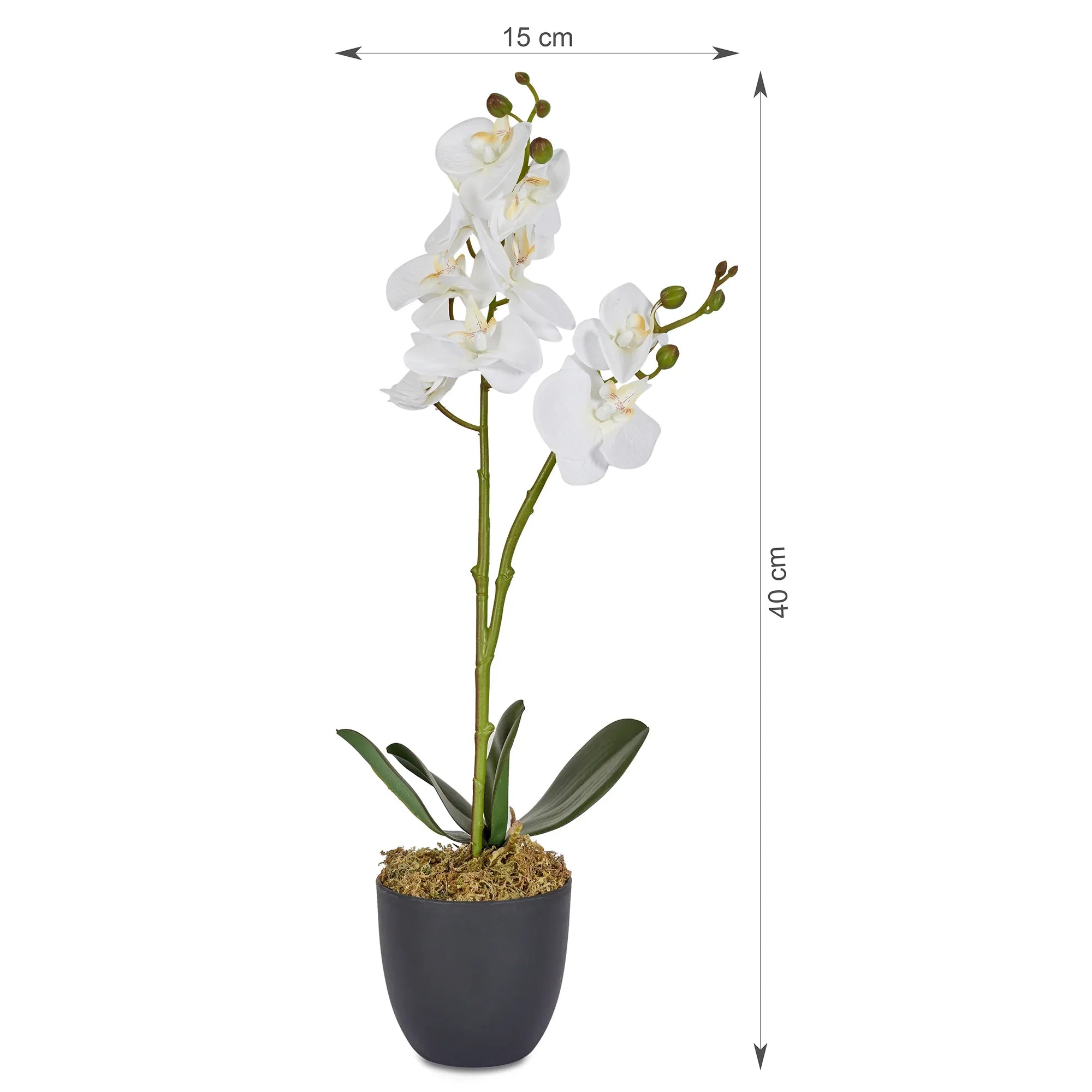 Ilana Artificial Orchid Potted Plant 40Cm in White Colour - HomeTown