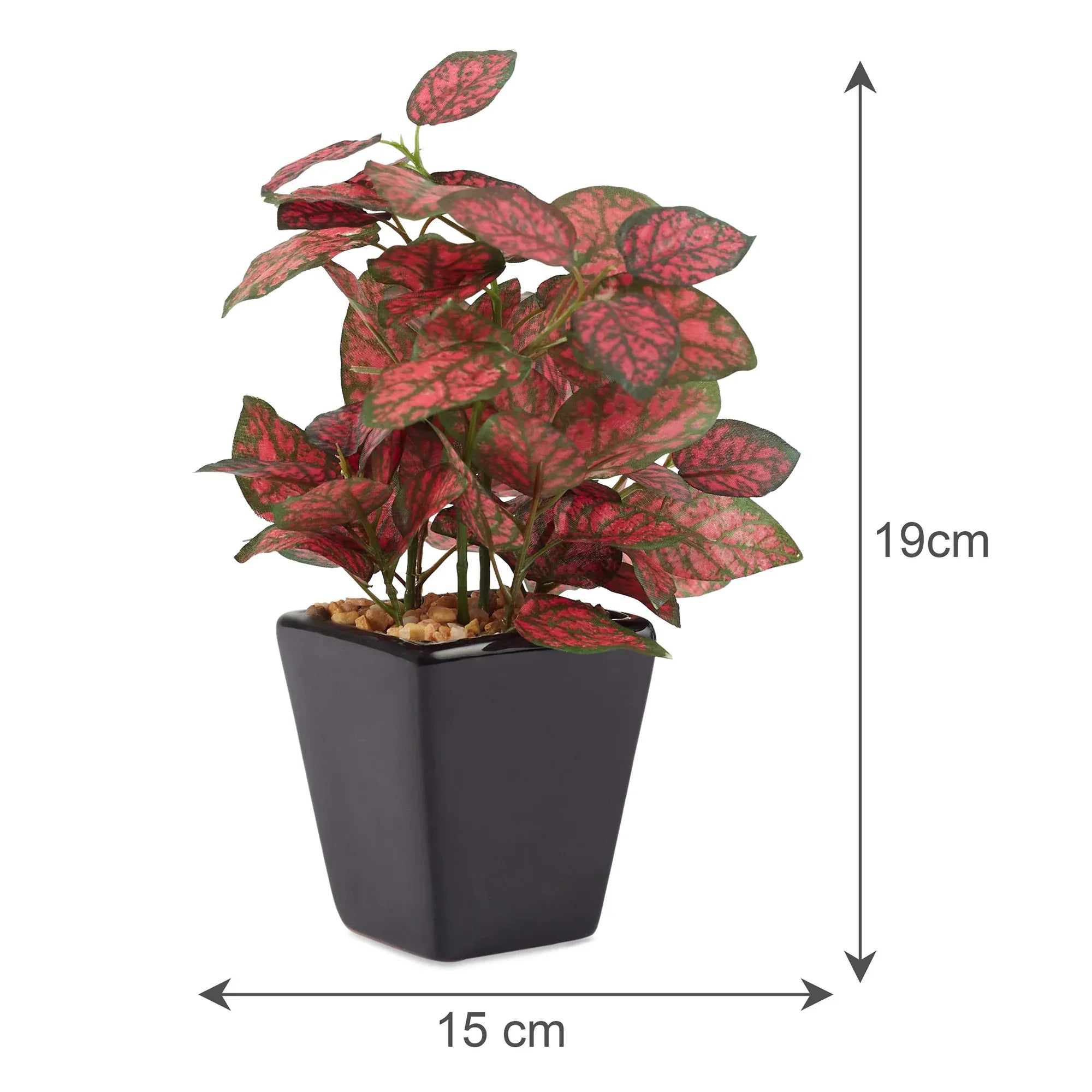 Ilana Faux Hypoestes Ceramic Potted Plant 19 Cm in Red Colour - HomeTown