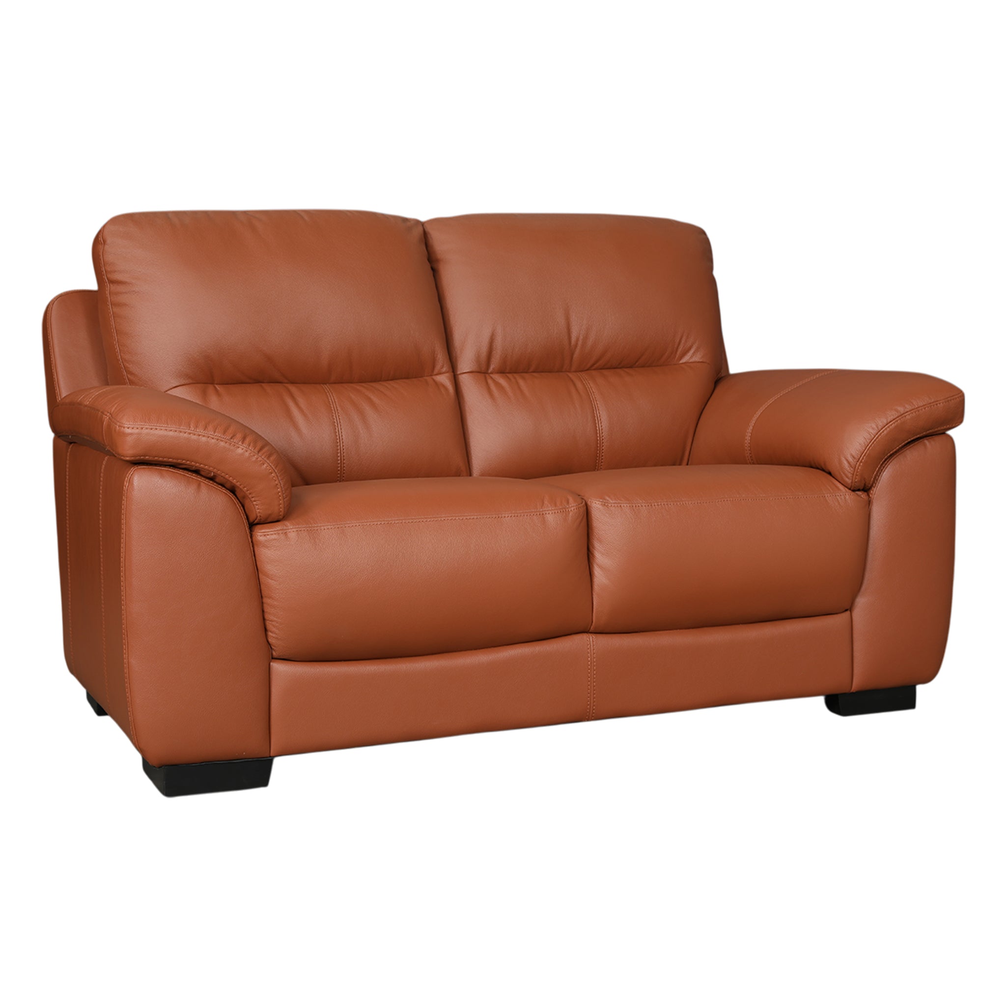 CANYON HALF LEATHER 2 SEATER SOFA TAN