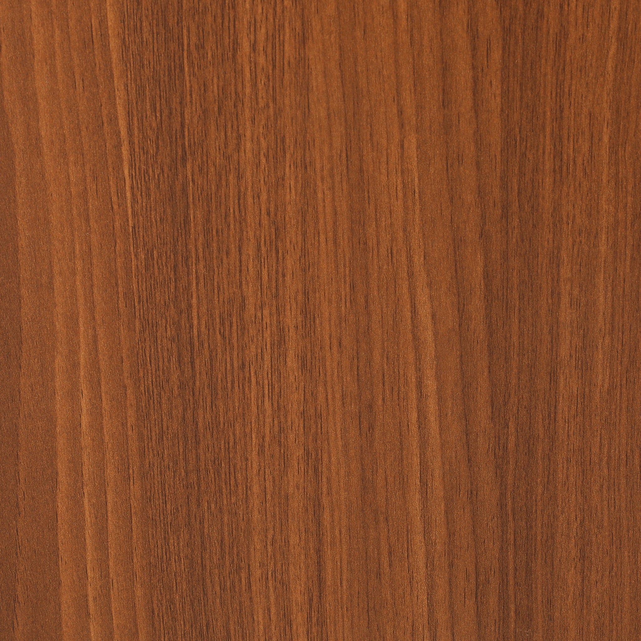 Stepora Shoerack