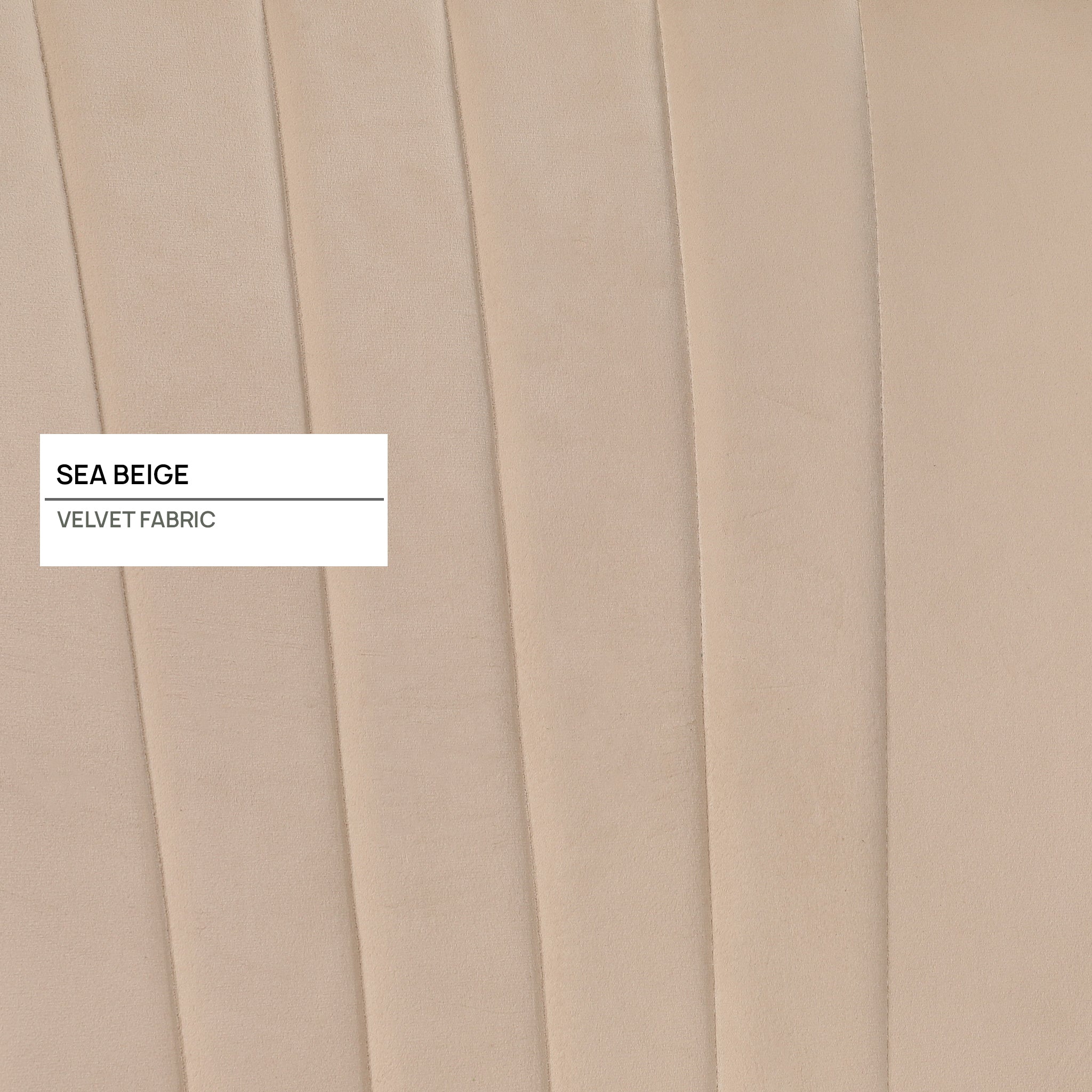 Jane Velvet Accent Chair in Sea Beige
