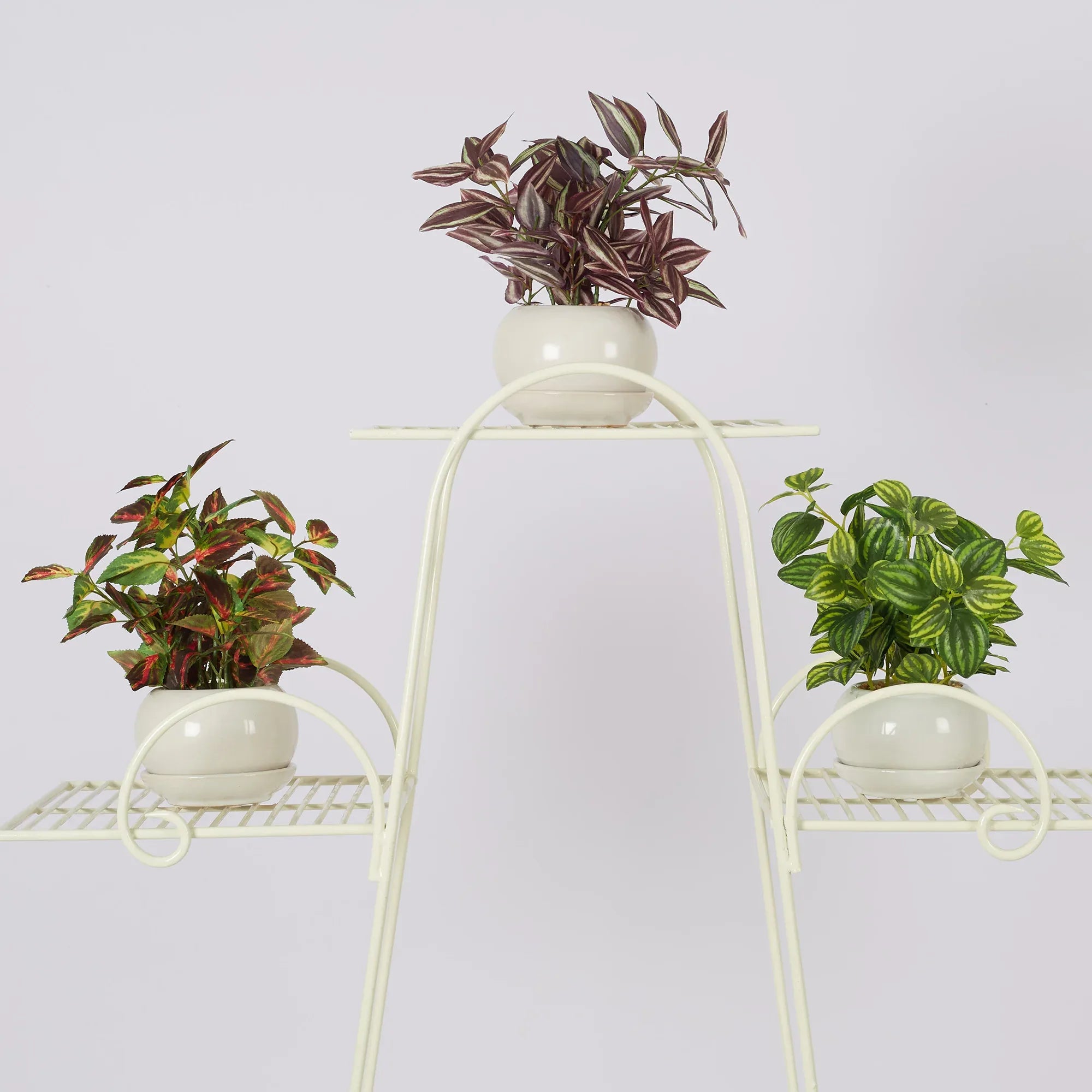 Ilana Faux Wandering Jew Ceramic Potted Plant 24 Cm in Green Colour - HomeTown