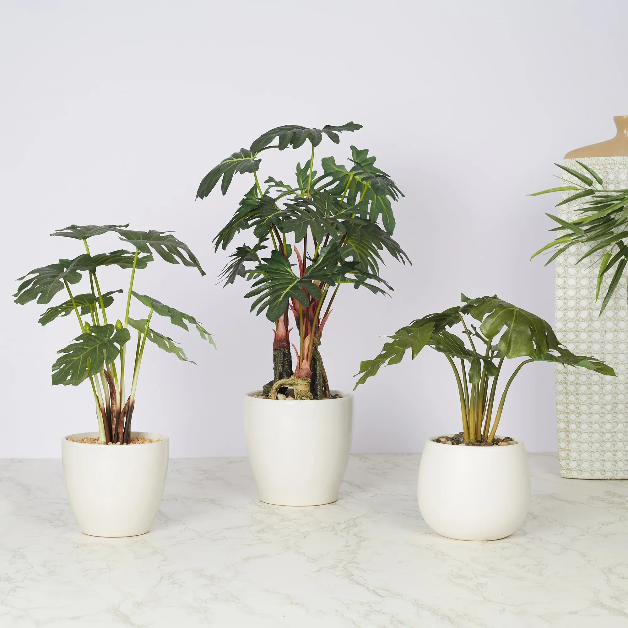 Ilana Faux Philodendron Ceramic Potted Plant 56 Cm in Green Colour - HomeTown