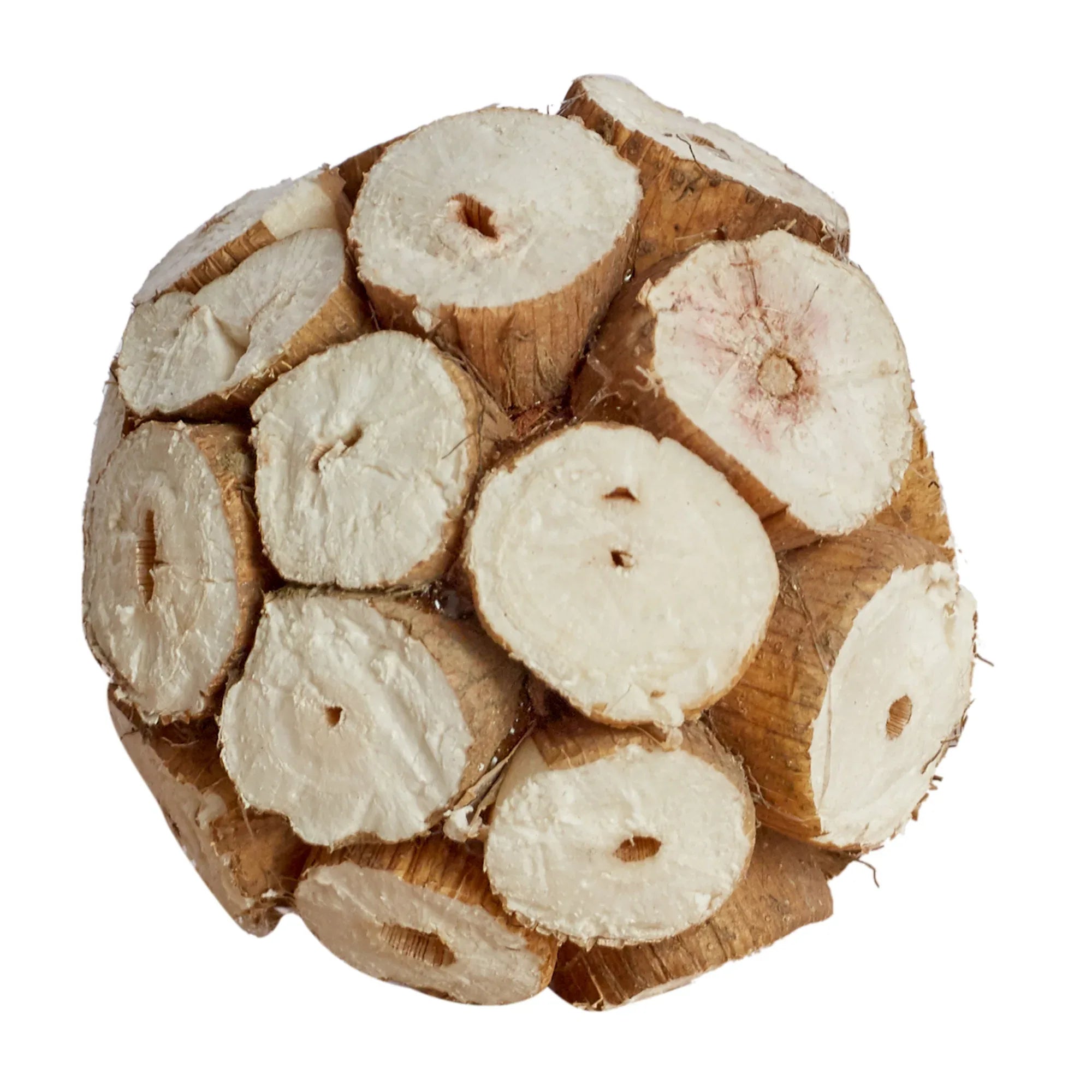 Fleur Natural Dried Filler Pouch 15 Cm in Brown Colour - HomeTown