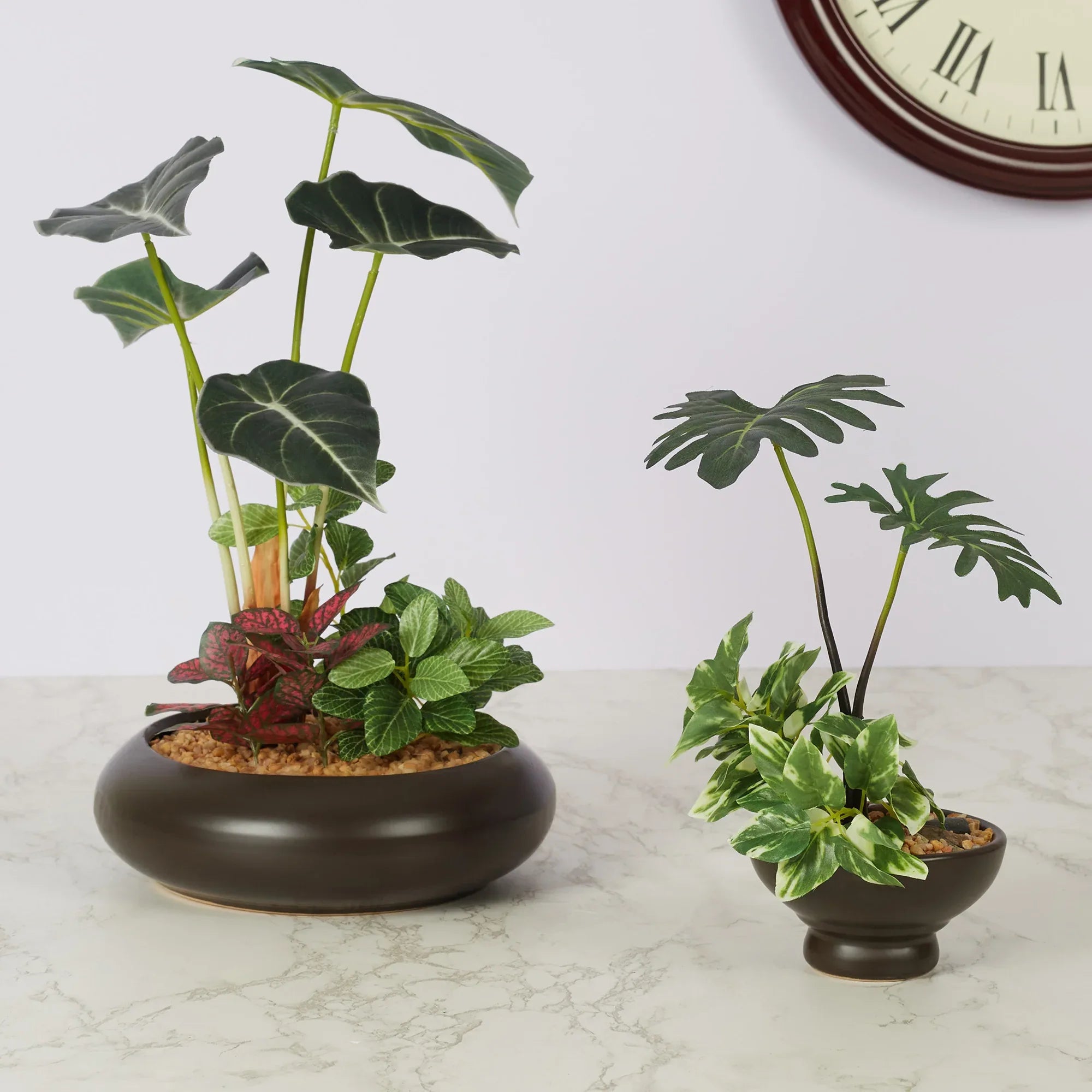 Ilana Faux Alocosia Ceramic Potted Plant 33 Cm in Green Colour - HomeTown