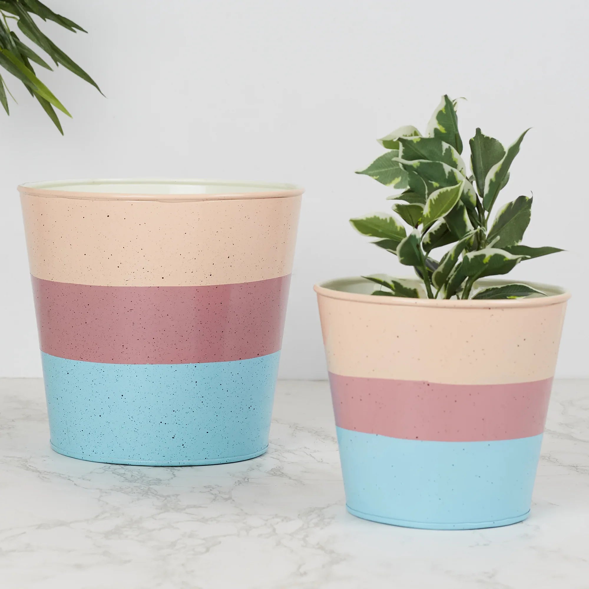 Pep Pop Metal Multi Band Planter 14Cm in Blush Colour - HomeTown