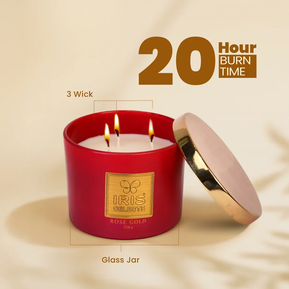 IRIS CELESTE  3 WICK CANDLE ICAC09014RG