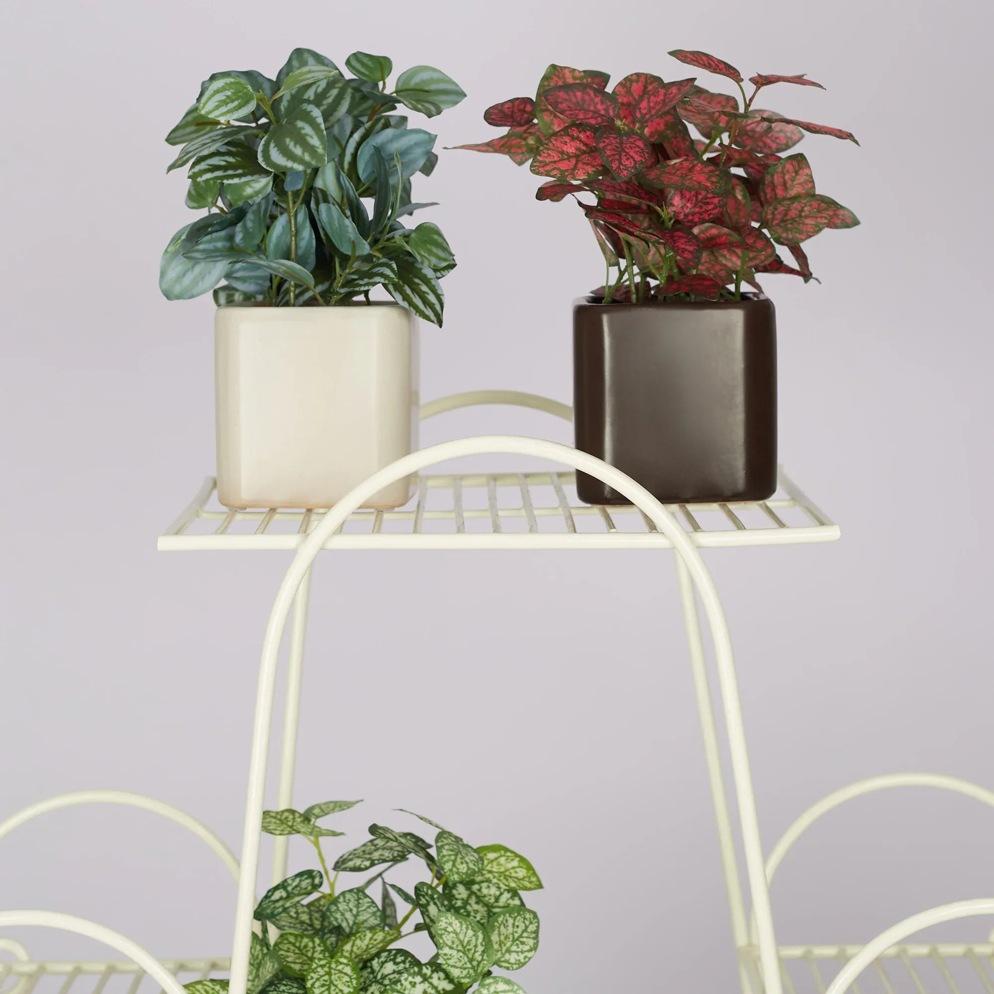 Ilana Faux Peperomia Ceramic Potted Plant 20 Cm in Green Colour - HomeTown