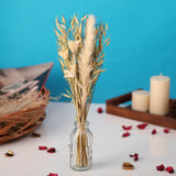 De Massion Liliana Dried Floral Bunny Tail Small