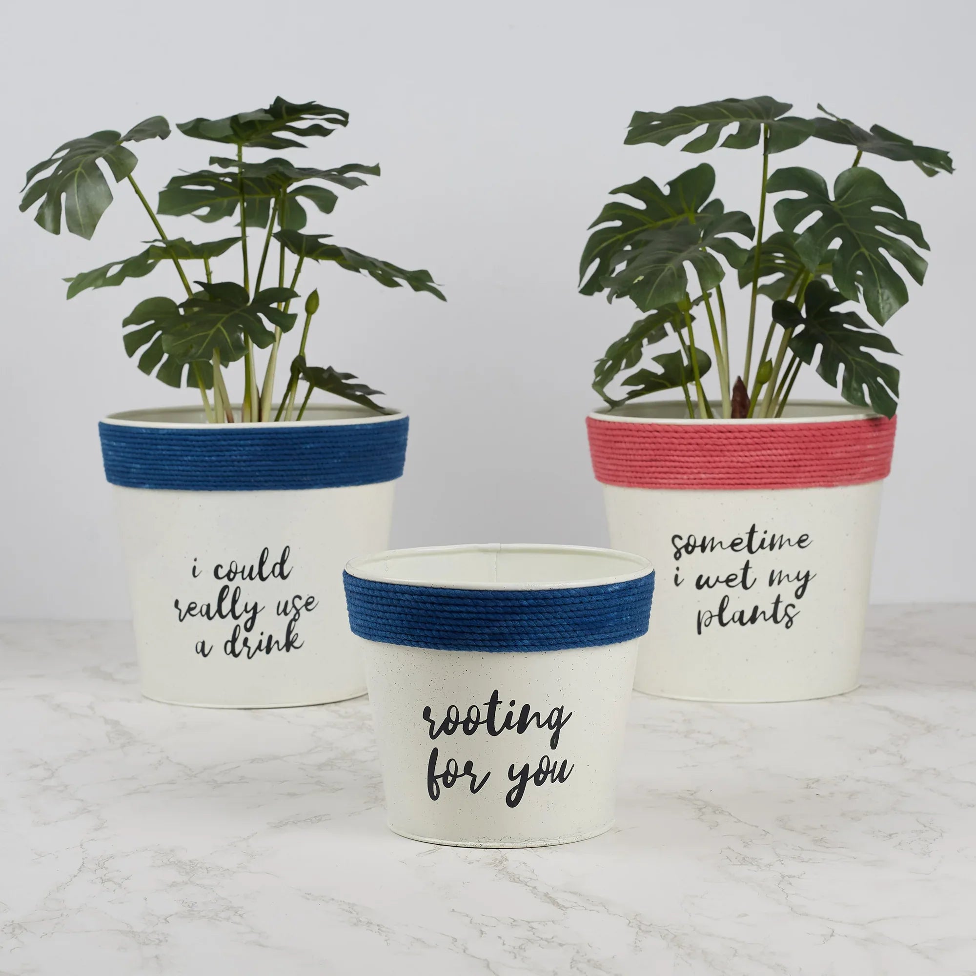 Pep Pop Metal Funky Quote Planter 19Cm in Off White & Fuchsia Colour - HomeTown