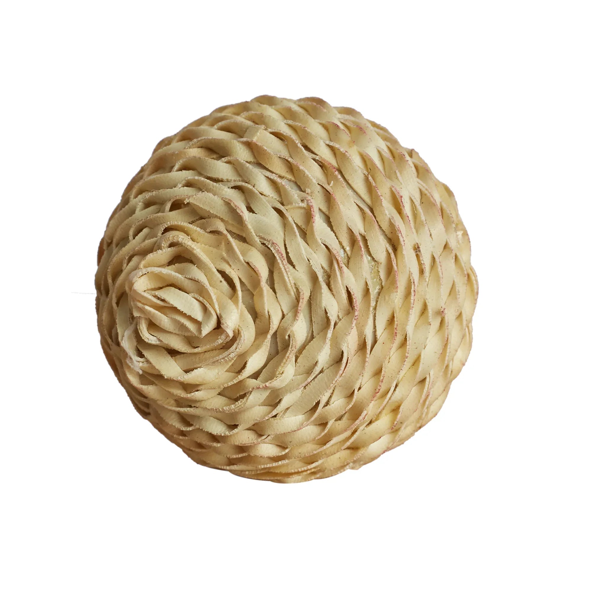 Fleur Natural Dried Filler Pouch 15 Cm in Brown Colour - HomeTown