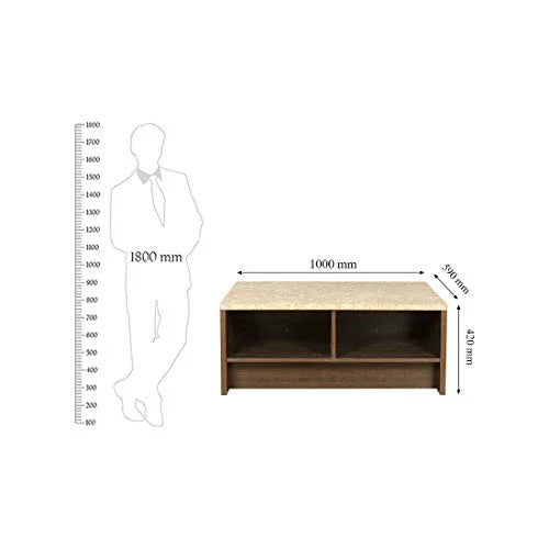 Murano Marble Finish Top Center Table in Wenge Colour - HomeTown