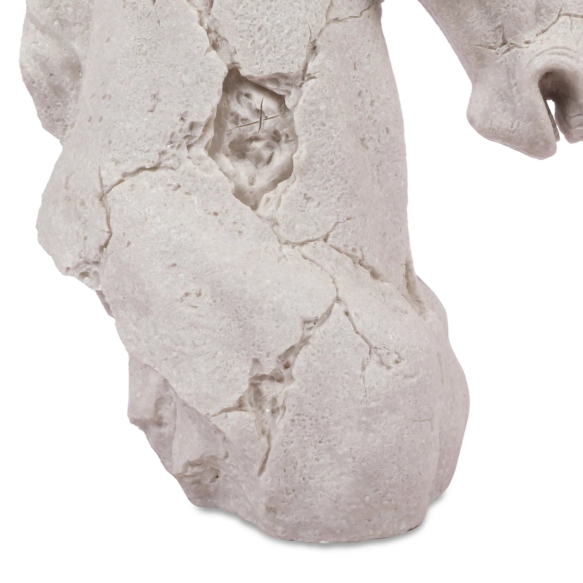 Miraya Horse Head Figurine White 39cm by Living Essence - HomeTown