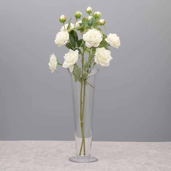 EDEL MODERN CLEAR GLASS MEDIUM SIZED VASE BY LIVING ESSENCE dimensions