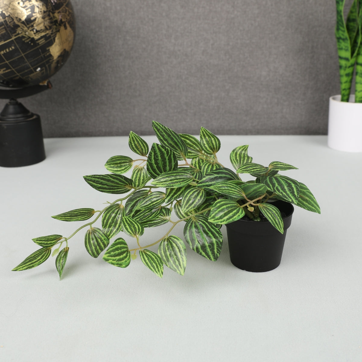 Ilana Hanging Zebra Potted Plant 38cm in Green