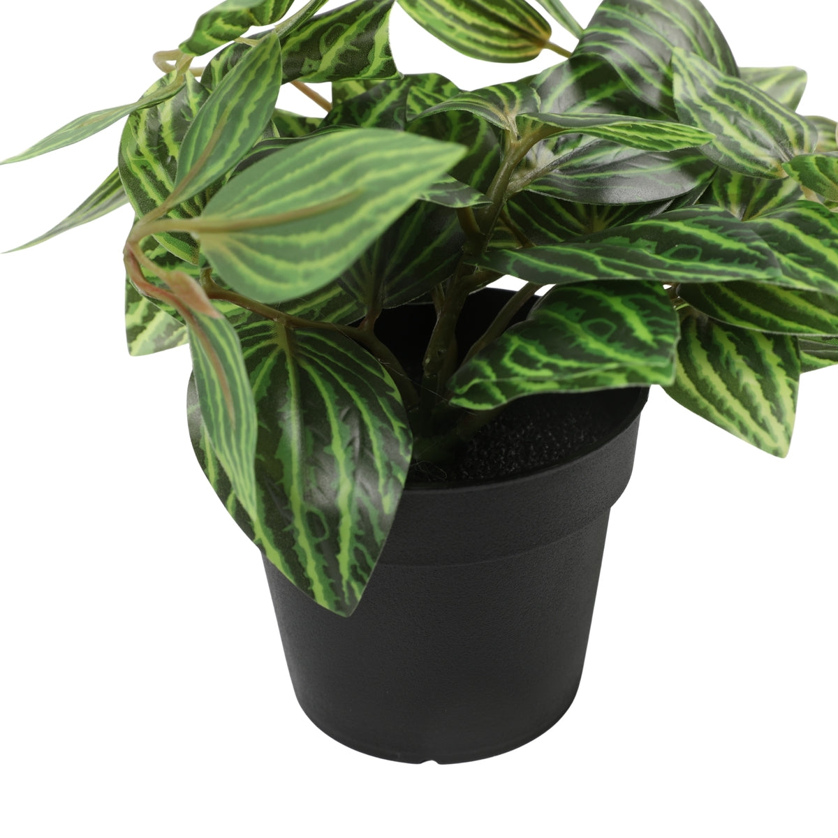 Ilana Hanging Zebra Potted Plant 38cm in Green