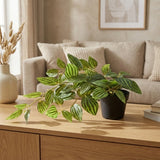 Ilana Hanging Zebra Potted Plant in Green