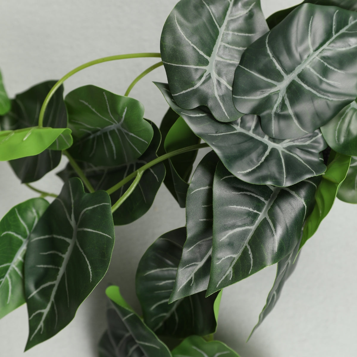 Ilana Hanging Alocasia Potted Plant 30cm in Green