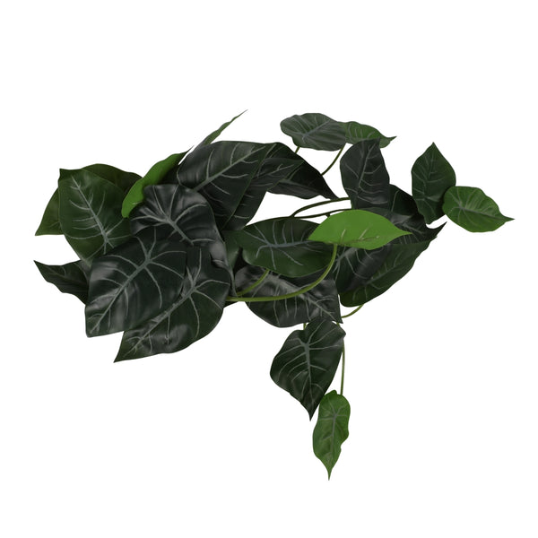 Ilana Hanging Alocasia Potted Plant in Green dimensions
