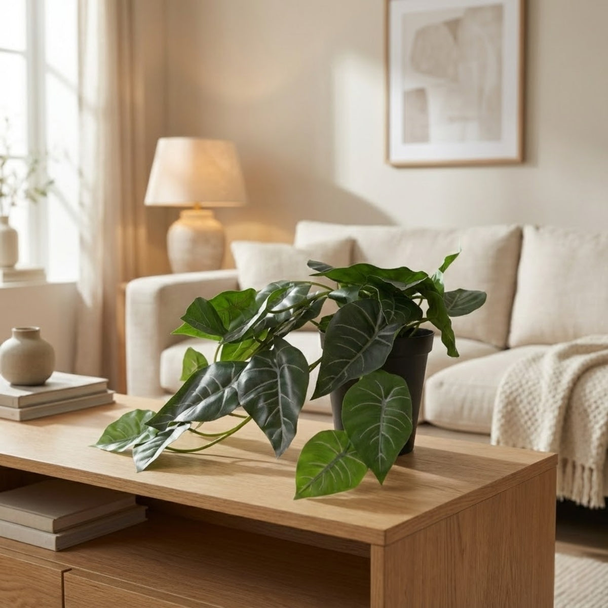 Ilana Hanging Alocasia Potted Plant 30cm in Green