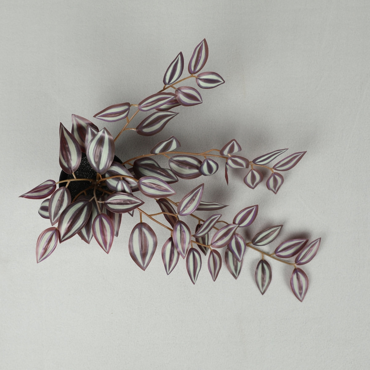 Ilana Hanging Tradescantia Potted Plant 33cm in Purple