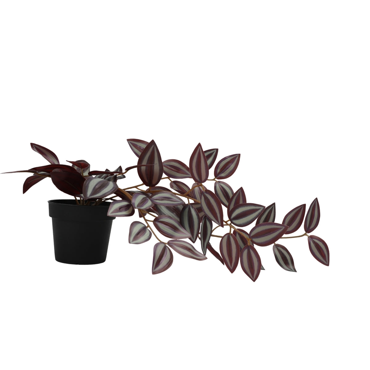 Ilana Hanging Tradescantia Potted Plant 33cm in Purple