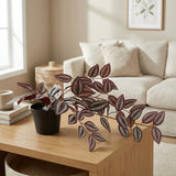 Ilana Hanging Tradescantia Potted Plant in Purple