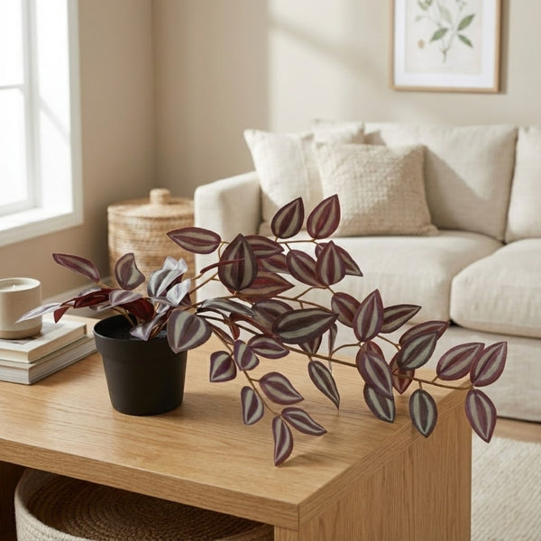 Ilana Hanging Tradescantia Potted Plant 33cm in Purple dimensions