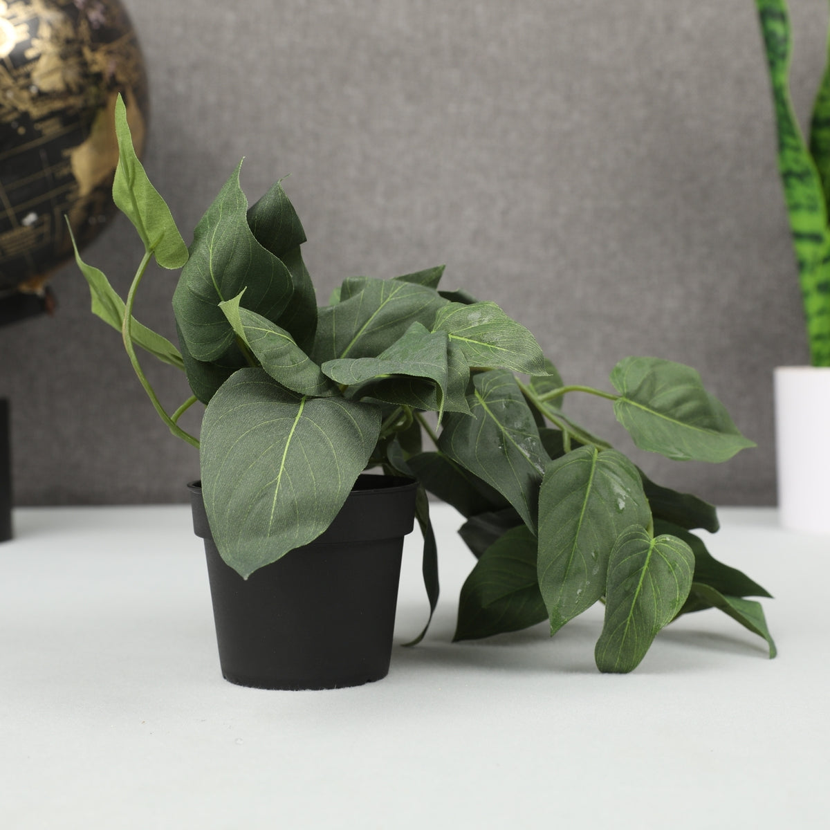 Ilana Hanging Philodendron Potted Plant 41cm in Green