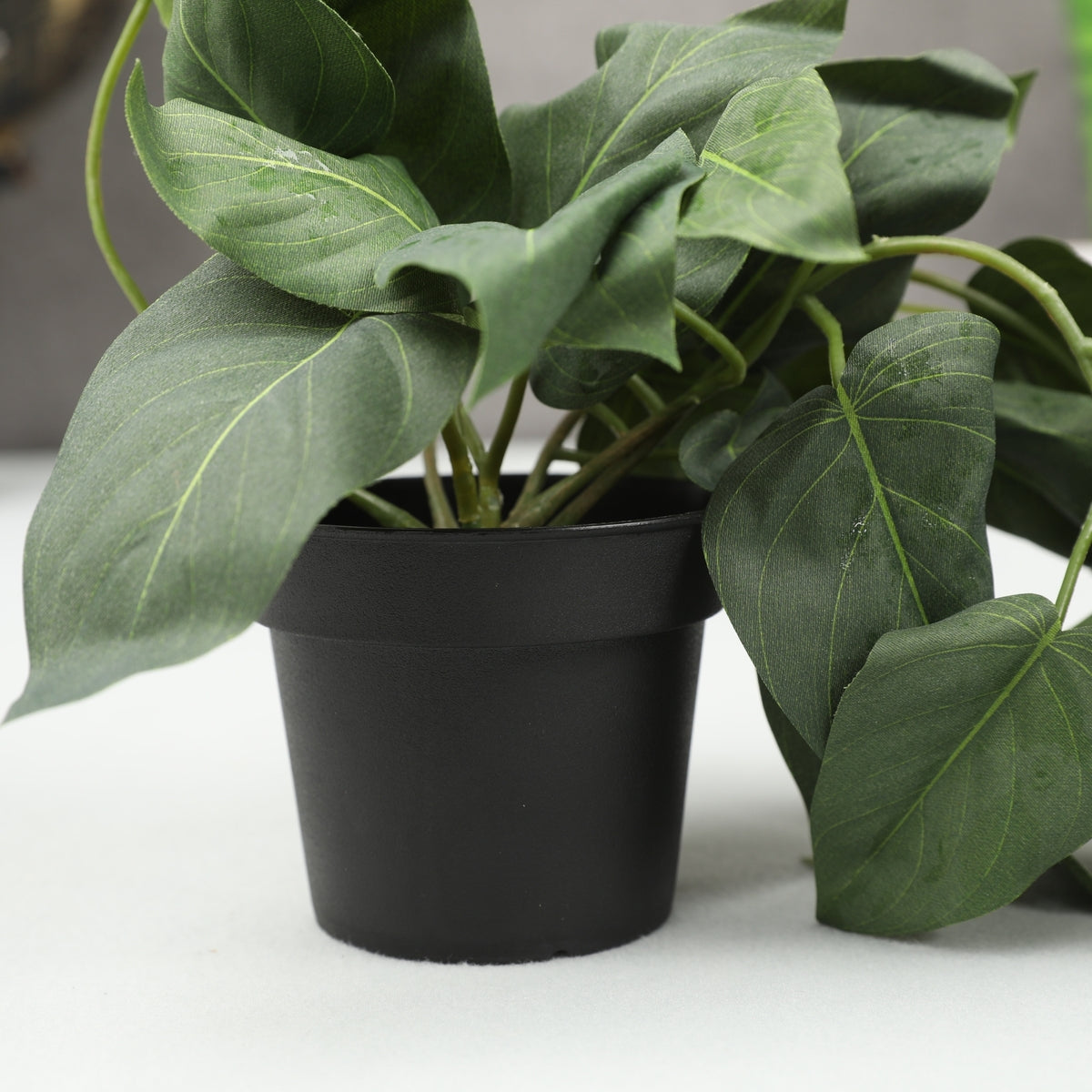 Ilana Hanging Philodendron Potted Plant 41cm in Green