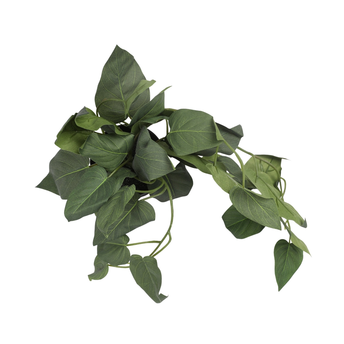 Ilana Hanging Philodendron Potted Plant 41cm in Green