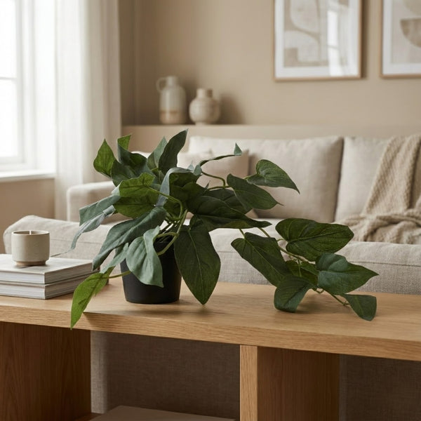 Ilana Hanging Philodendron Potted Plant 41cm in Green dimensions