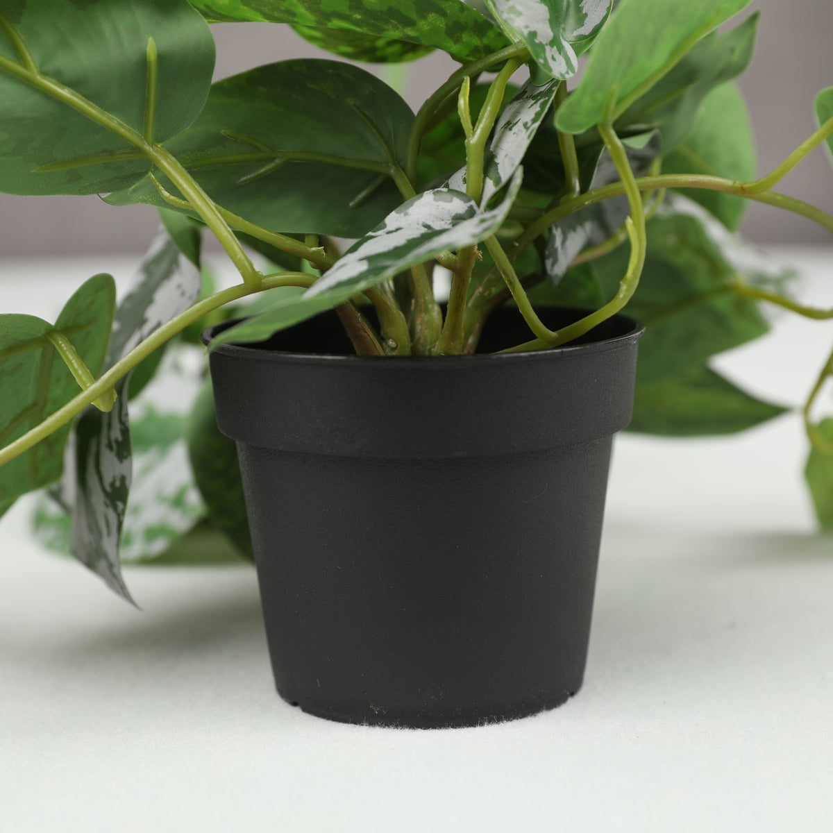 Ilana Hanging Epipremnum Potted Plant 48cm in Green