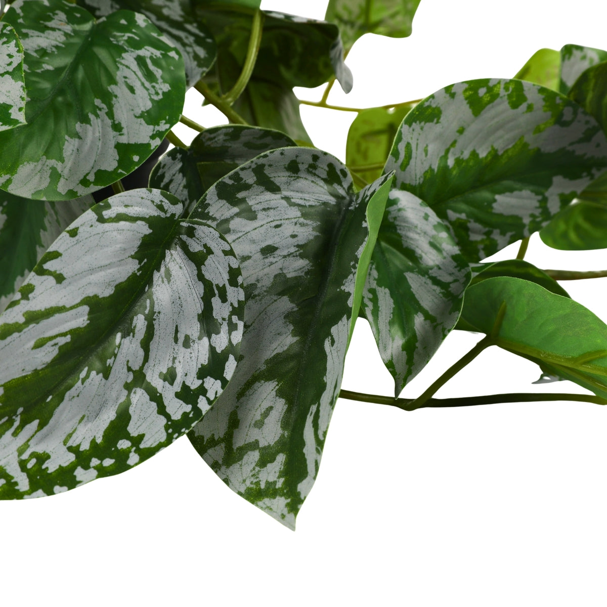 Ilana Hanging Epipremnum Potted Plant 48cm in Green